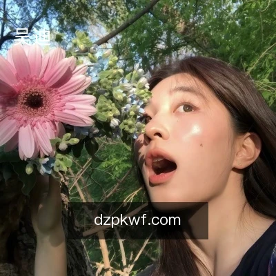 吴迪